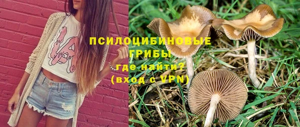 хмурый Кукмор
