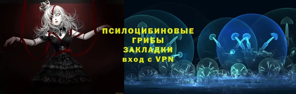 хмурый Кукмор