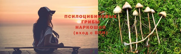 хмурый Кукмор