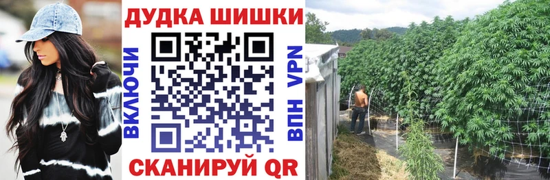 наркота  Камышин  Марихуана THC 21% 