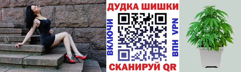 Канабис сатива Камышин